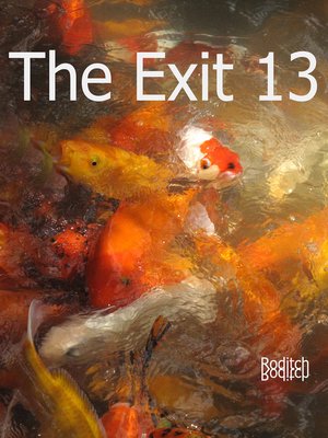 cover image of The Exit 13